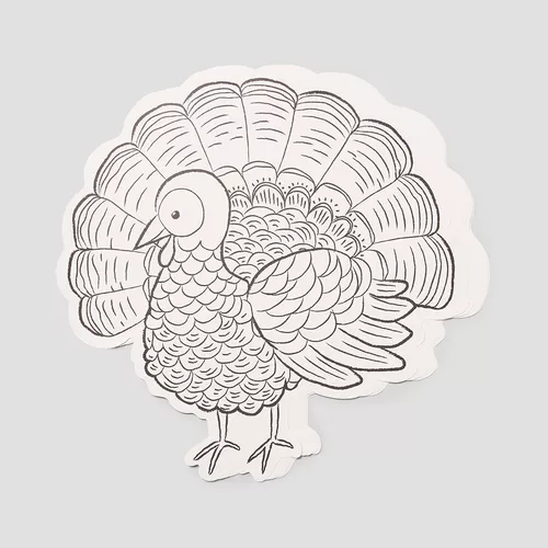 Sur La Table Thanksgiving Color-In Turkey Placemats, Set of 12