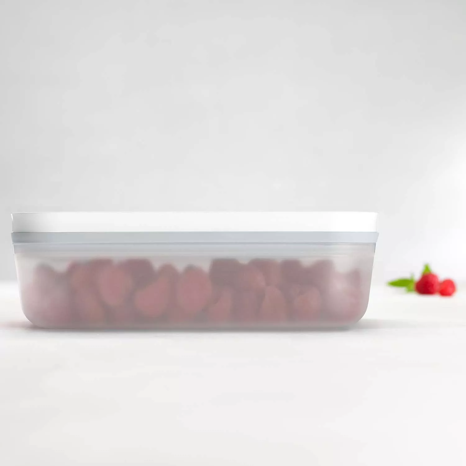 Zwilling Fresh & Save Small Vacuum Lunch Box, Plastic