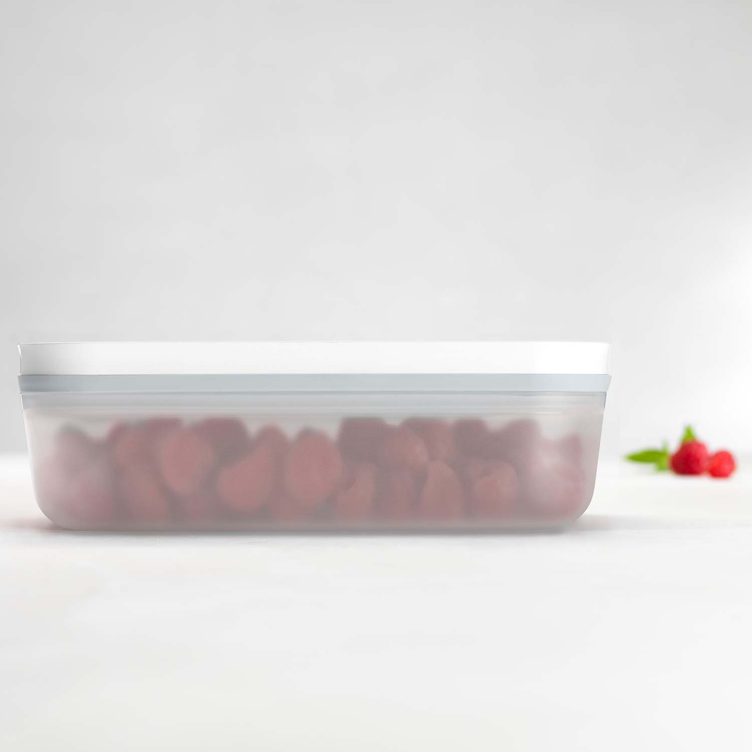 Zwilling Fresh & Save Small Vacuum Lunch Box, Plastic
