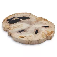 Sur La Table Petrified Wood Cheese Board