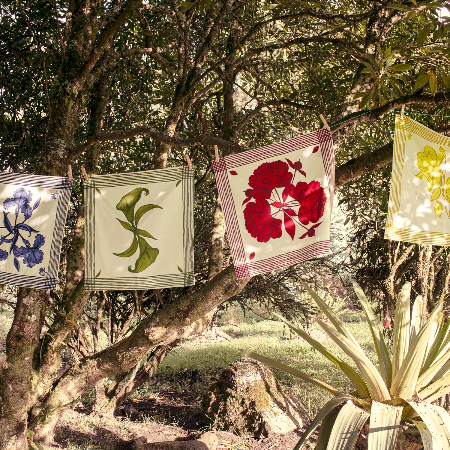 Mariana Velásquez x Sur La Table Iris Napkin