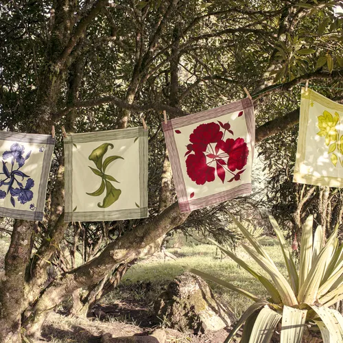 Mariana Velásquez x Sur La Table Calla Lily Napkin