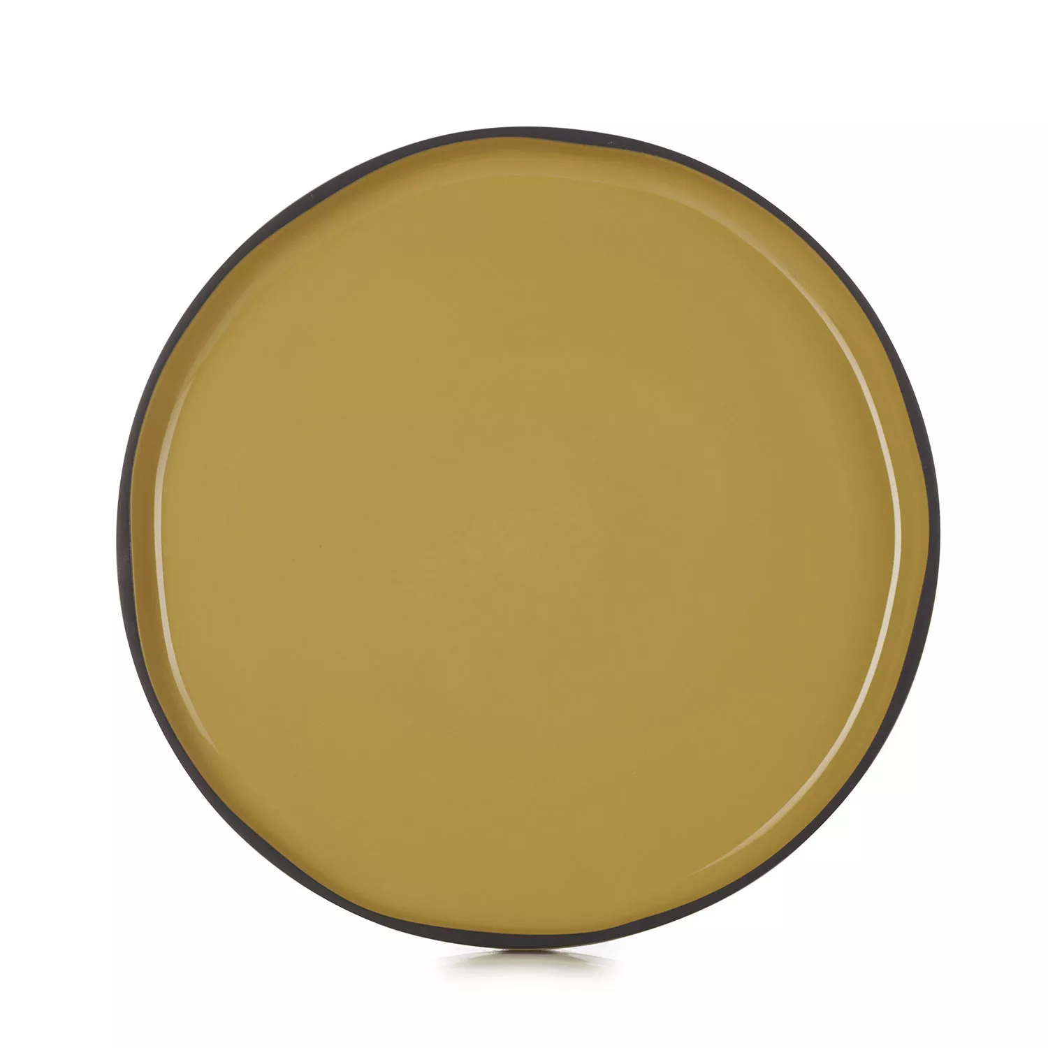 Revol Caractère Dinner Plates, 11", Set of 4