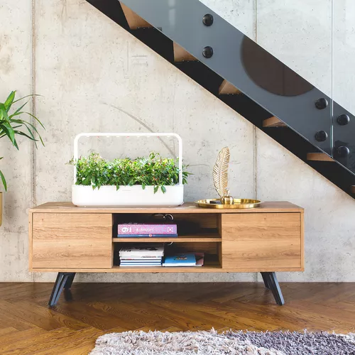 Click And Grow Smart Garden 9