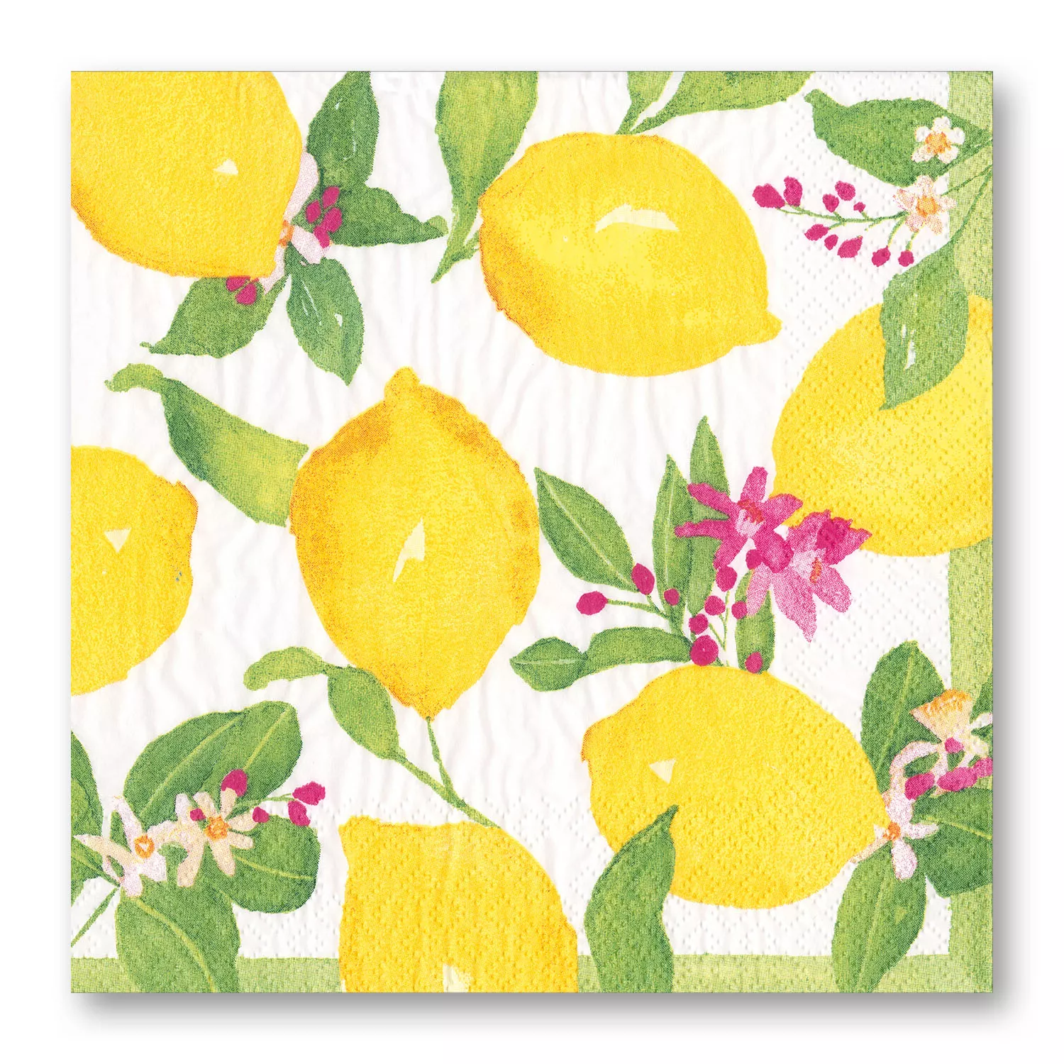 Caspari Citrus Cocktail Napkins, Set of 20