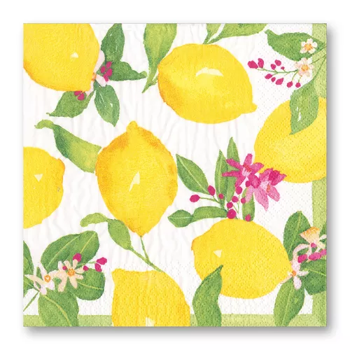 Caspari Citrus Cocktail Napkins, Set of 20