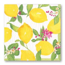 Caspari Citrus Cocktail Napkins, Set of 20 