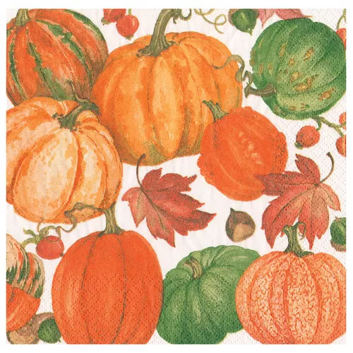 Pumpkin Field Cocktail Napkins, Set of 20