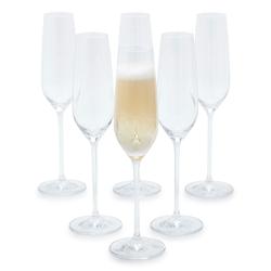 Schott Zwiesel Fortissimo Champagne Flute I love my flutes