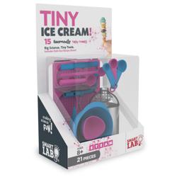 SmartLab Toys Tiny Ice Cream Kit They love ice cream and loved the idea of making their own