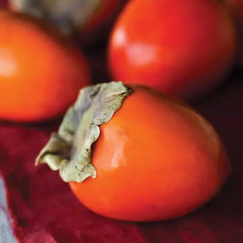 Persimmon-Ginger Smoothie