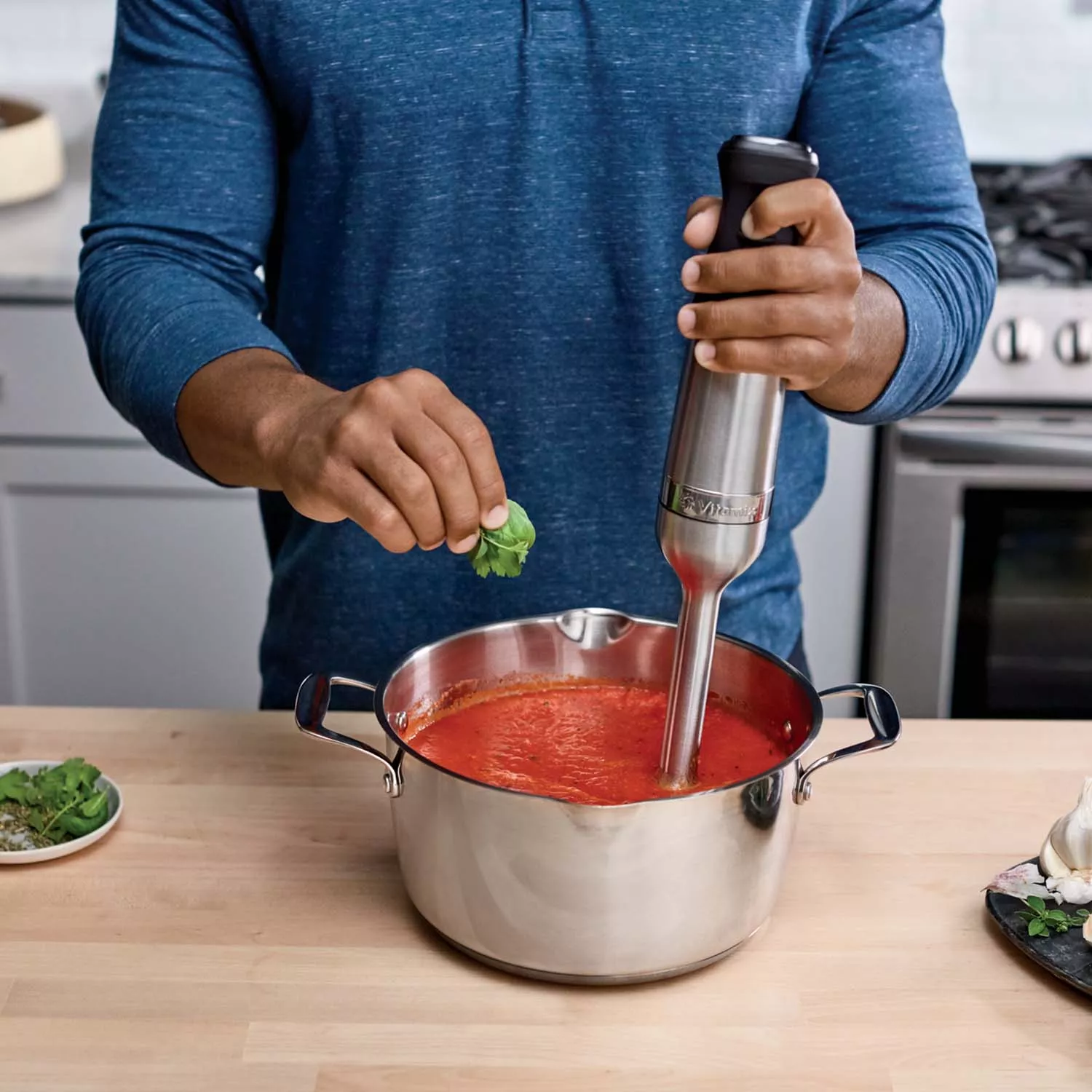Vitamix 5-Speed Immersion Blender
