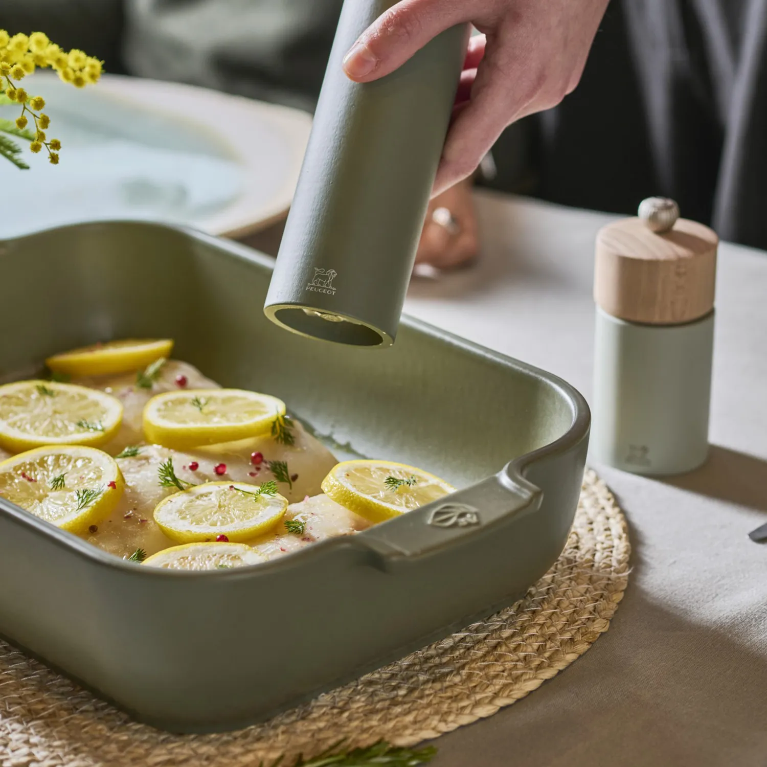 Peugeot Appolia Stoneware Rectangular Baker, 10" x 8"
