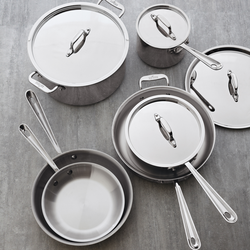 All-Clad D3 Stainless Steel 10-Piece Set