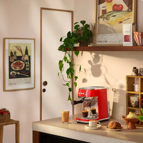 Breville Bambino Plus Espresso Machine