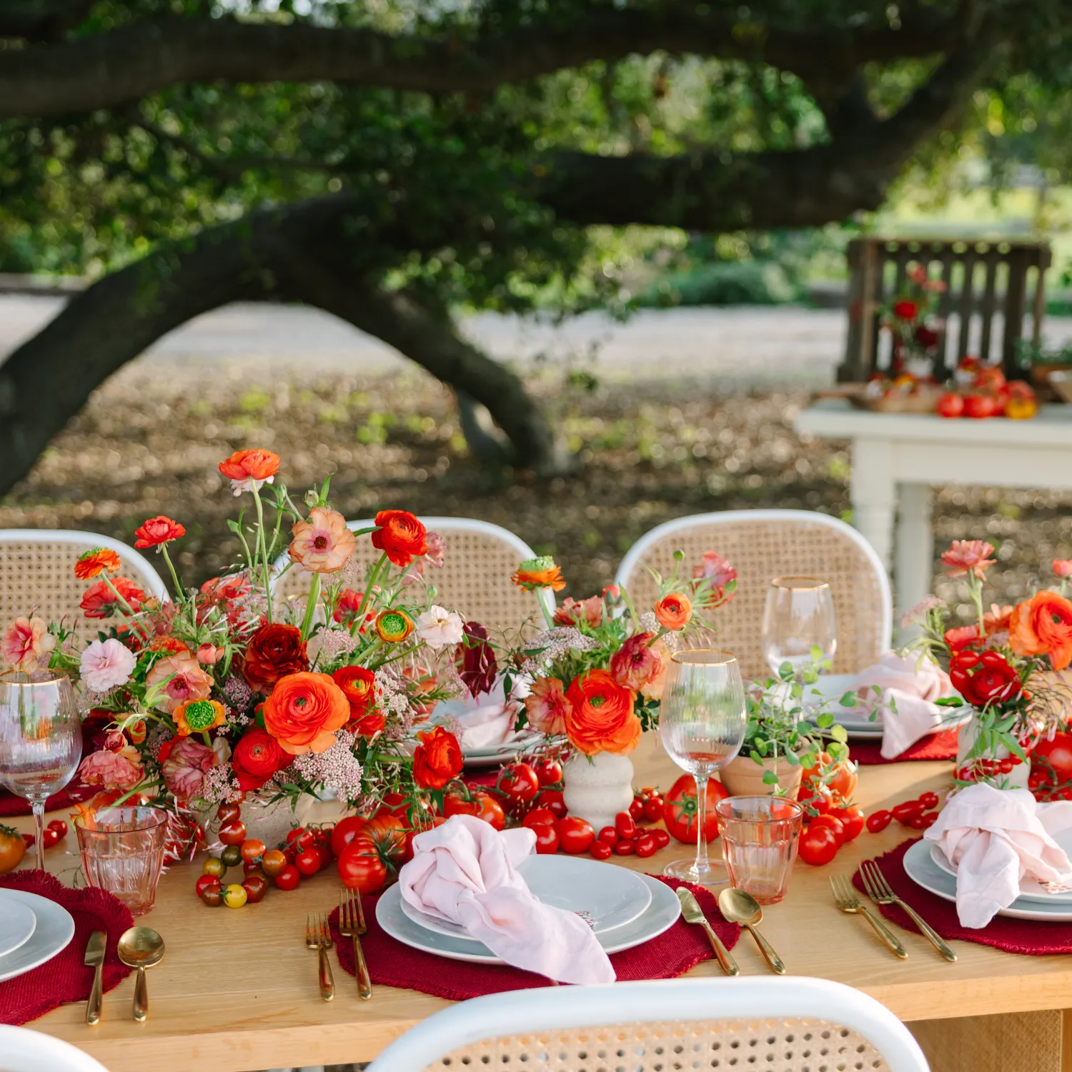 Sur La Table Cloud Salad Plate