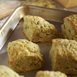 Dubliner, Sage and Walnut Cheese Crusted Biscuits