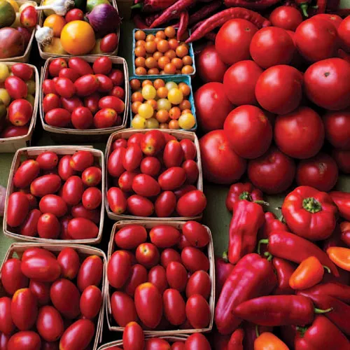 Frittata with Zucchini, Cherry Tomatoes, and Goat Cheese