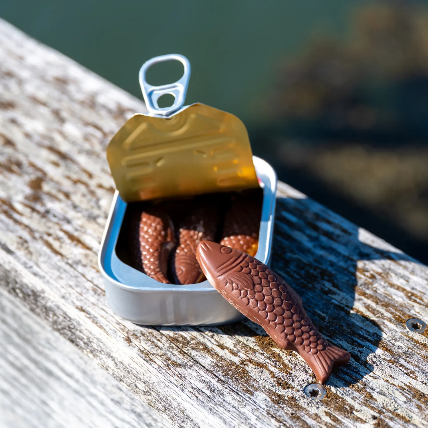 Bixby Chocolate Sardine Milk Chocolate Tin