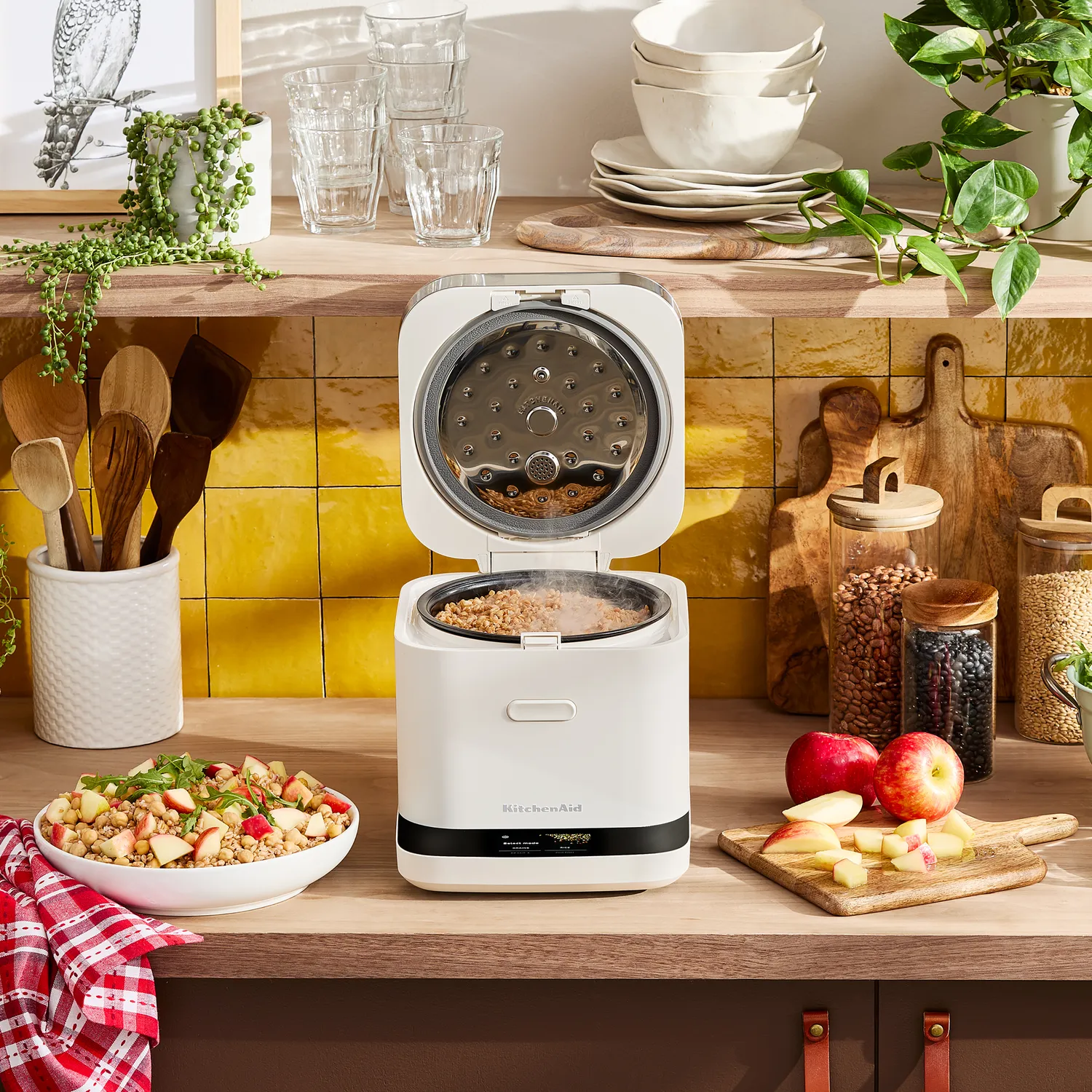 KitchenAid 8 Cup Compact Grain and Rice Cooker 