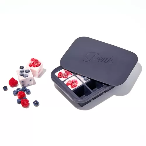 W&P Design Peak Ice Works Everyday Ice Cube Tray