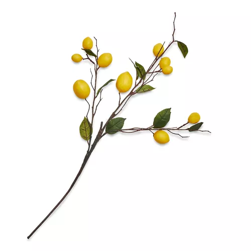 Lemon Spray, 30" Lemon Spray, 30"