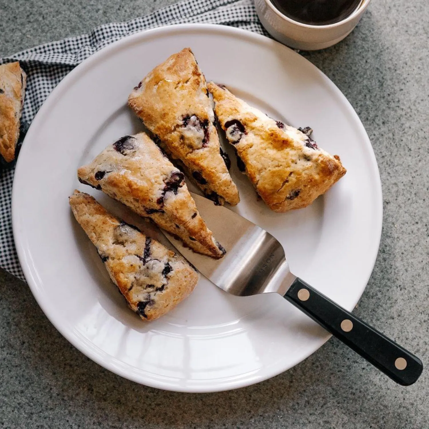 Lamson Stainless Steel Pie & Cake Server