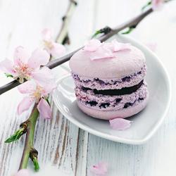 Lavender Macarons with Dark Chocolate Ganache