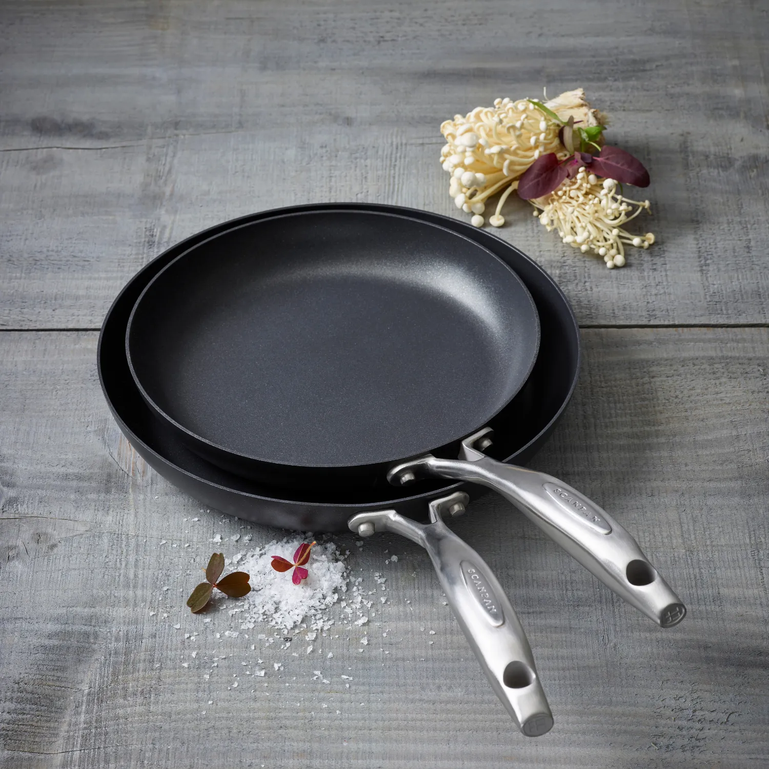 Scanpan Professional Set of 2 Skillet, 9.5" & 11"