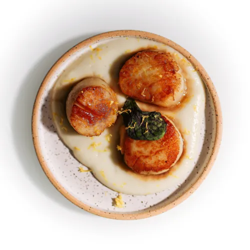 Seared Scallops with Sunchoke Puree