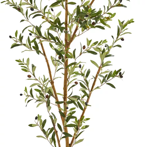 Nearly Natural Olive Silk Tree, 82"