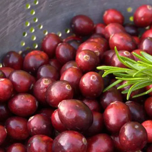 Cranberry Fruit Salad Smoothie