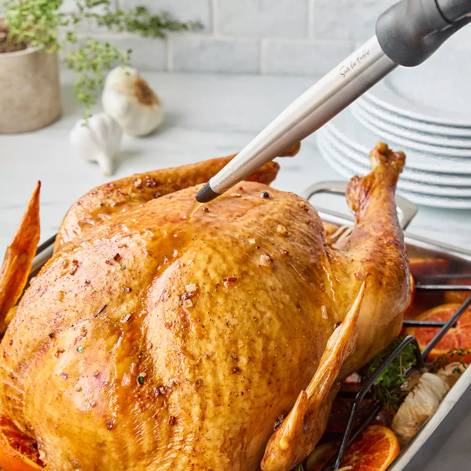 Sur La Table Stainless Steel Baster