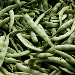 Sautéed Green Beans with Pancetta