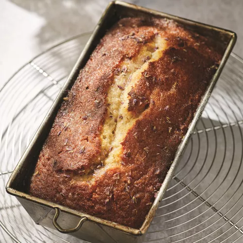 Lemon-Lavender Yogurt Cake