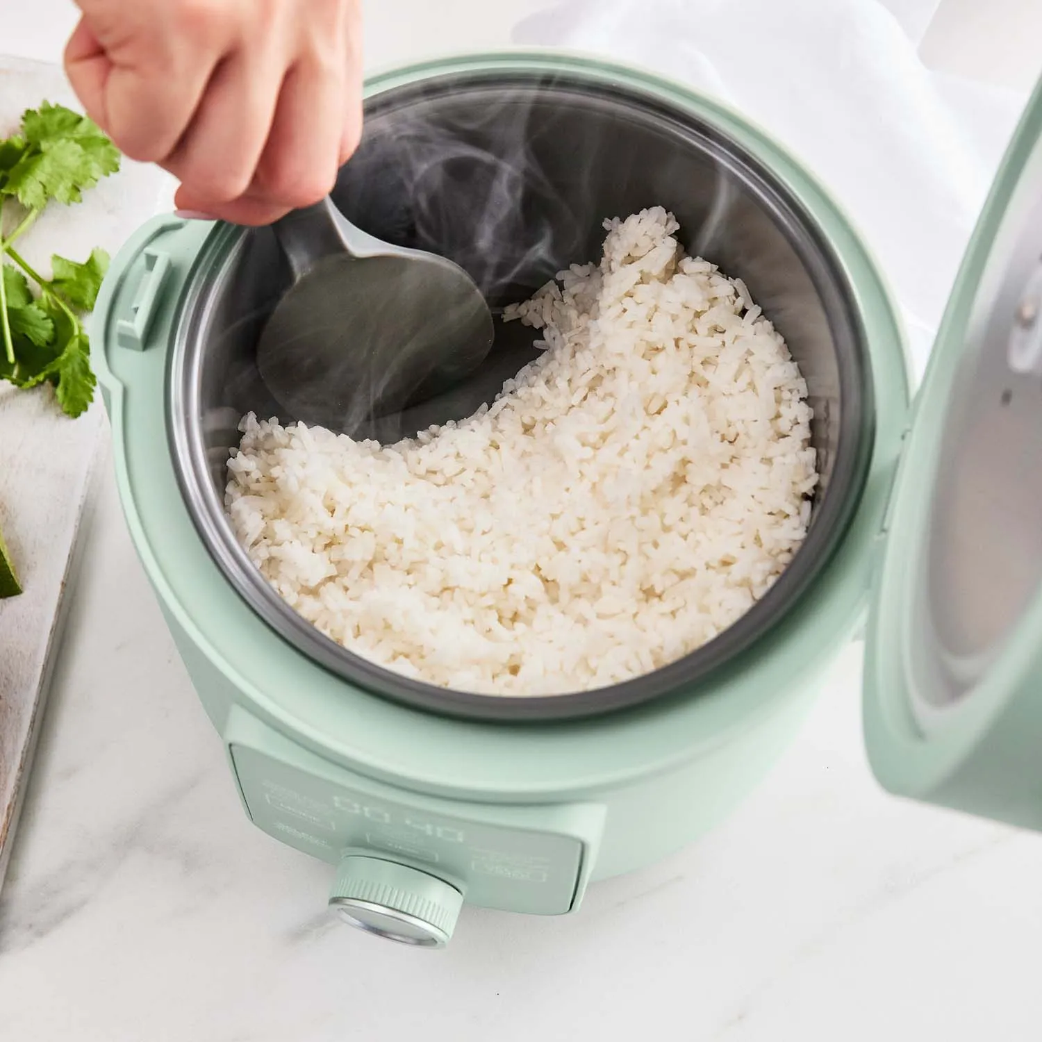 Martha Stewart by GreenPan 8-Cup Rice Cooker