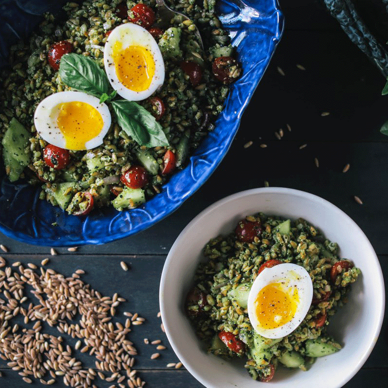 Quick &#38; Easy Kale-Basil Pesto Farro Salad