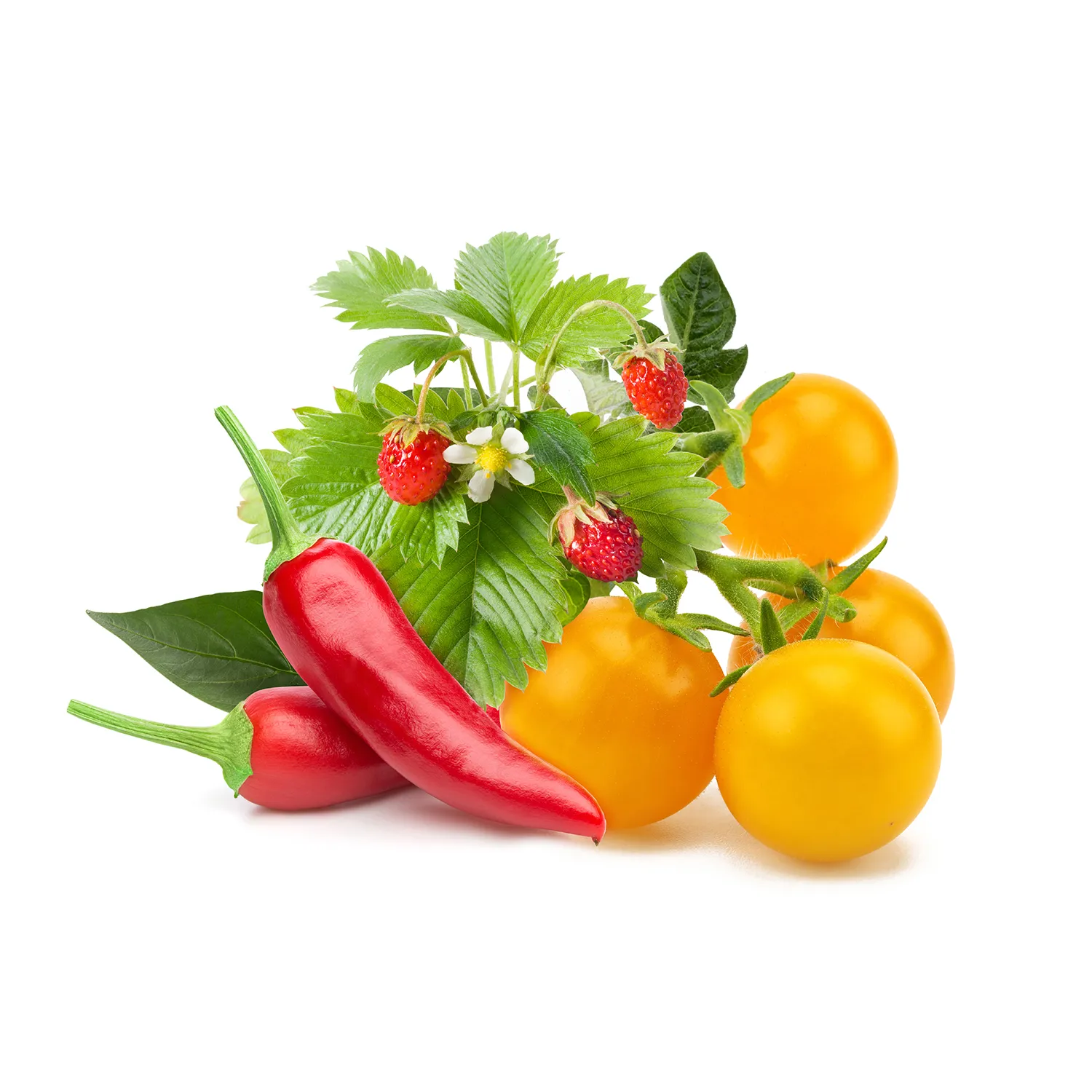 Click and Grow Plant Pods, 9 Pack