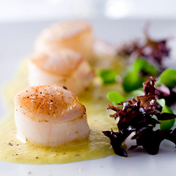 Grilled Sea Scallops with Sweet Corn Coulis