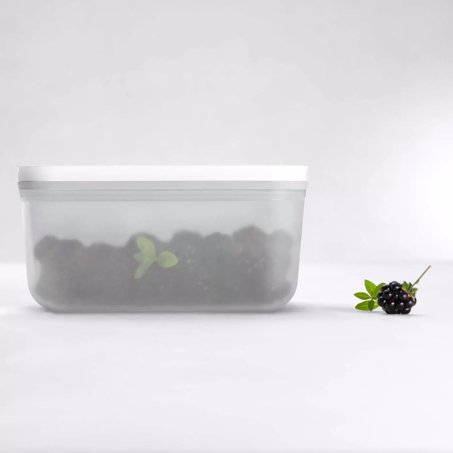 Zwilling Fresh & Save Small Vacuum Lunch Box, Plastic