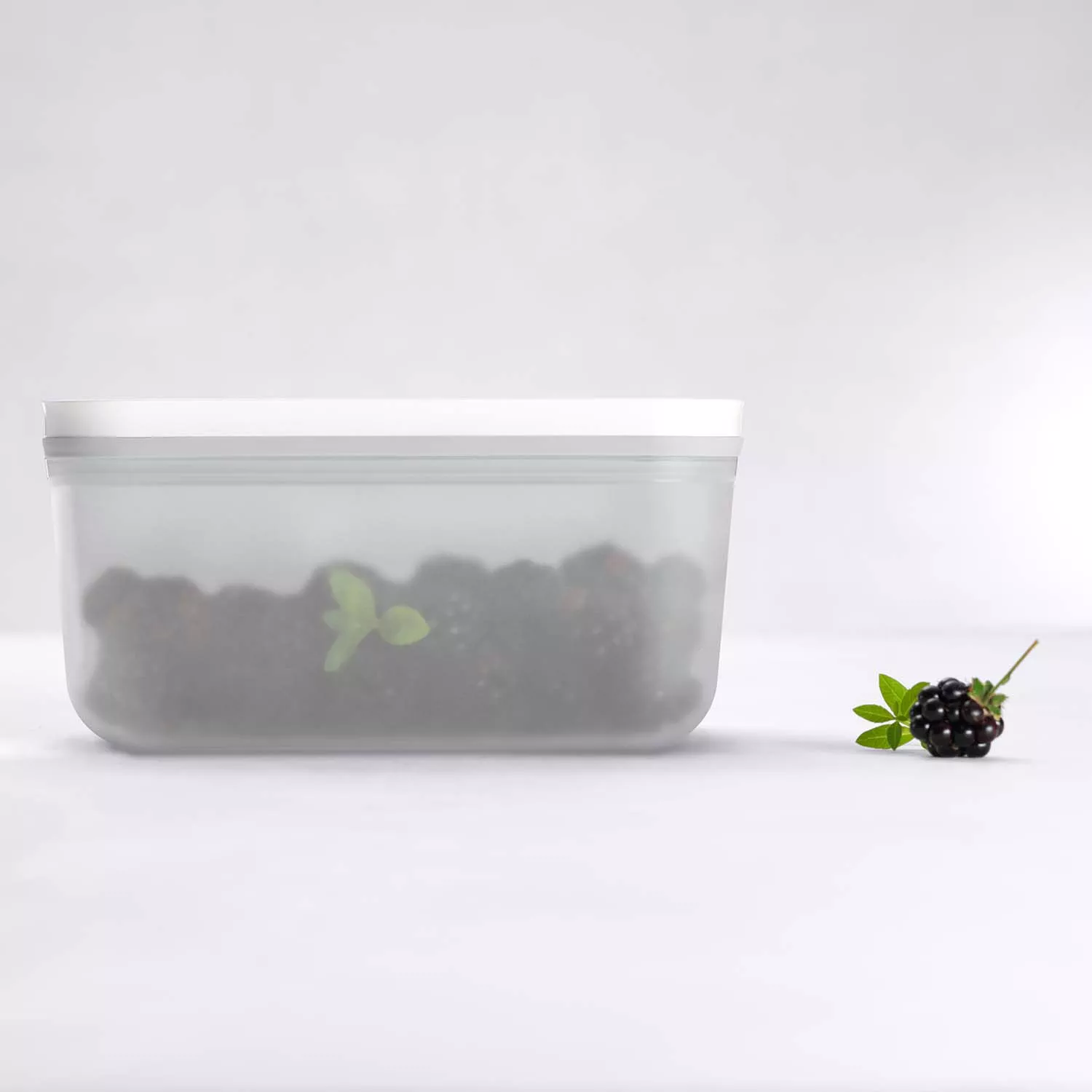 Zwilling Fresh & Save Medium Vacuum Lunch Box, Plastic