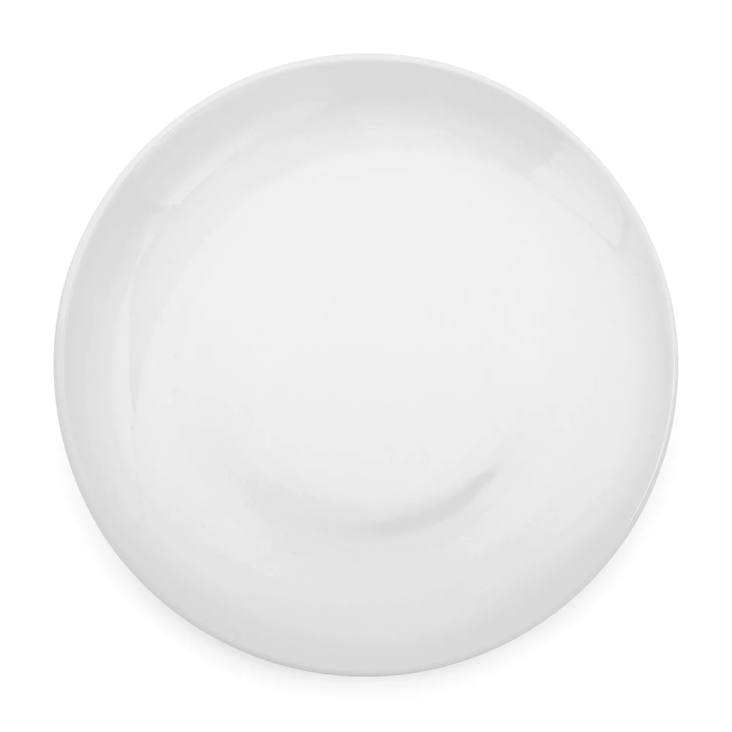 Sur La Table Coupe Porcelain Dinner Plates