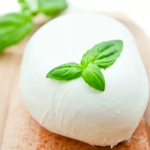 Lunch and Learn: Homemade Mozzarella