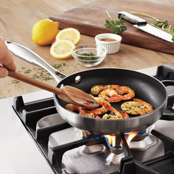 Scanpan CTX Nonstick Skillet