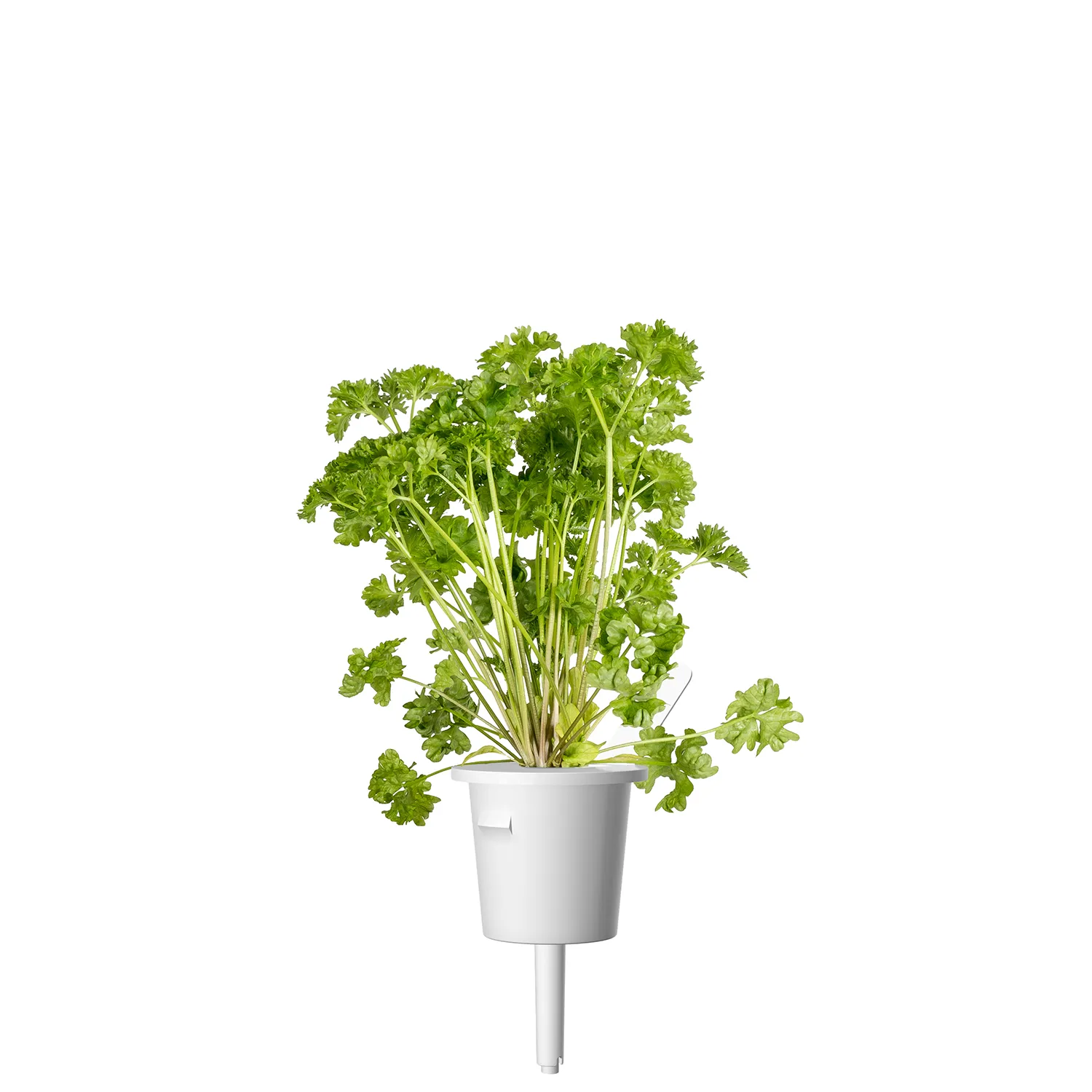 Click and Grow Plant Pods, 9 Pack