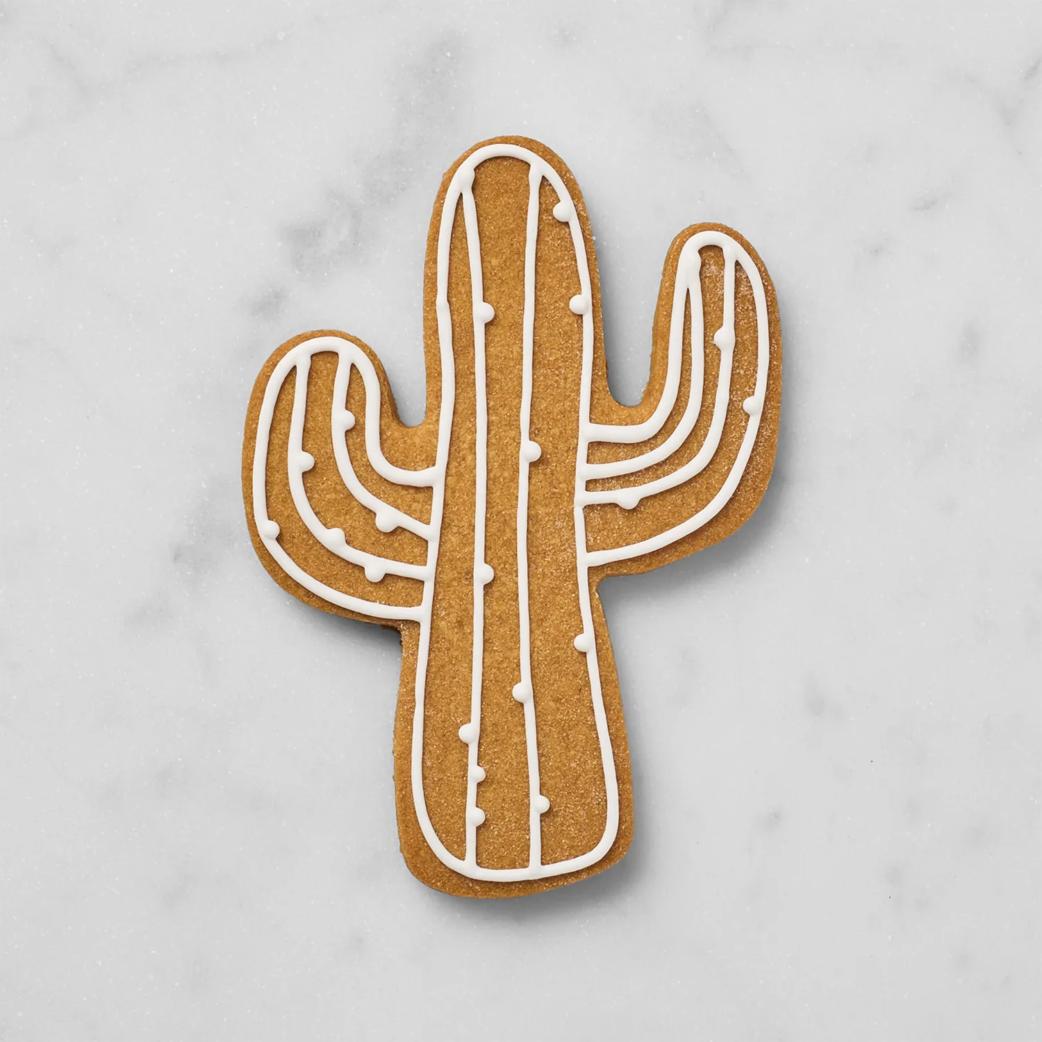 Sur La Table Cactus Cookie Cutter