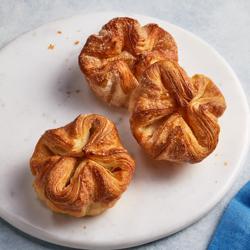 Online 2-Day Croissant Renaissance (Eastern Time) Class was very worthwhile