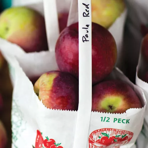 Flavors of Fall:  Apples