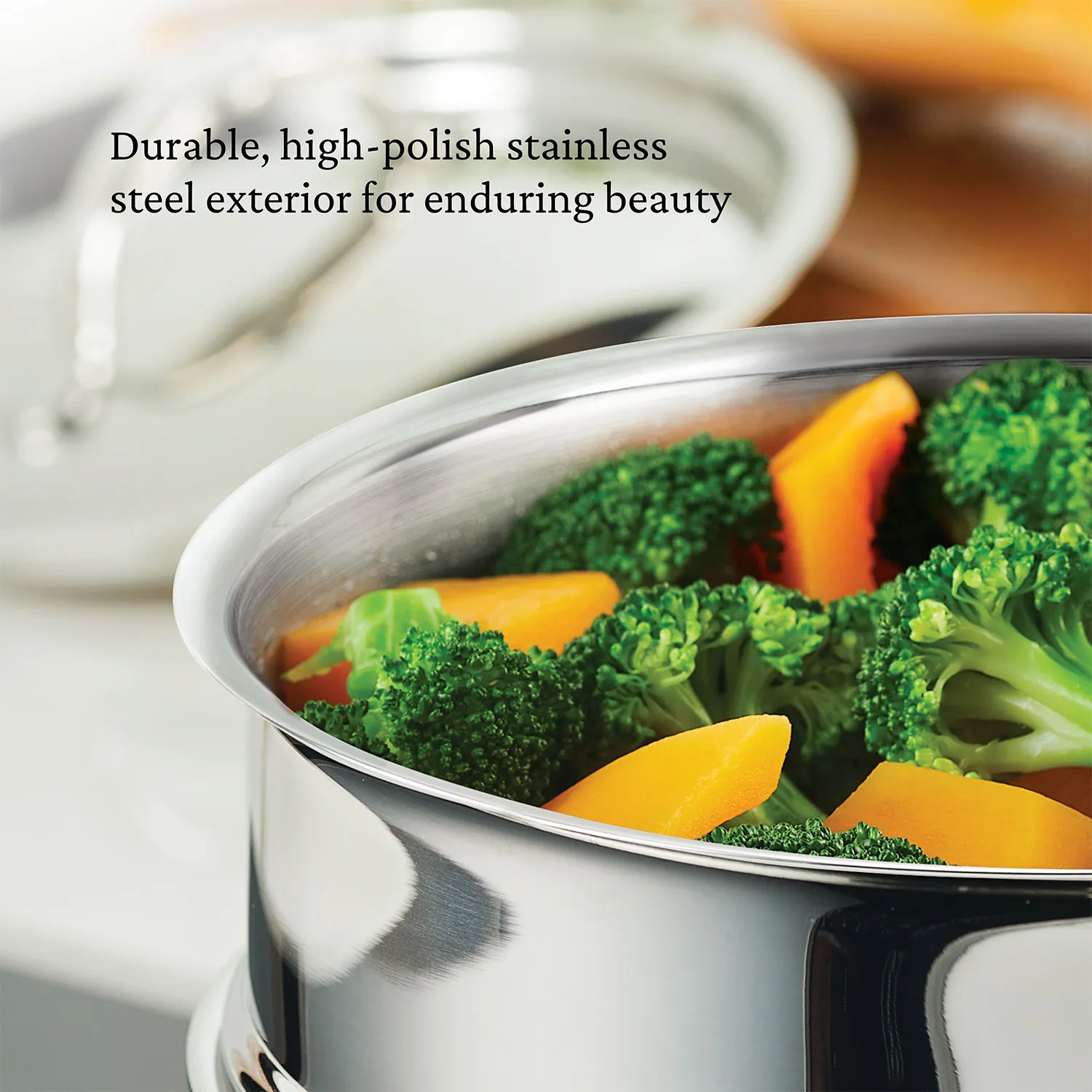 Hestan ProBond Luxe Stainless Steel Soup Pot with Steamer Insert, 3 qt.