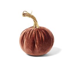 Sur La Table Velvet Pumpkin Décor